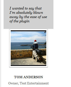 screenshot of wordpress testimonial pluign configuration